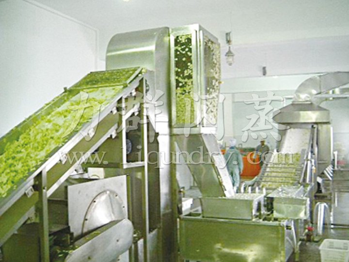 DWC系列脫水蔬菜帶式干燥機